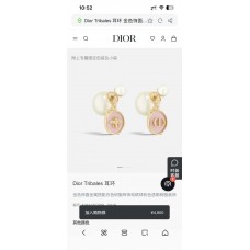 Dior Jewelry  new 