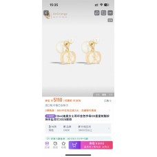 Dior Jewelry  new 