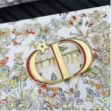 Dior Jewelry  new 