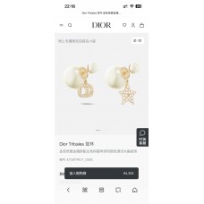 Dior Jewelry  new 