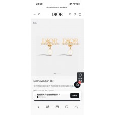 Dior Jewelry  new 