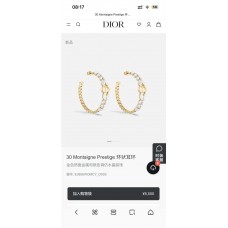 Dior Jewelry  new 