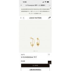 Louis Vuitton Jewelry  new 