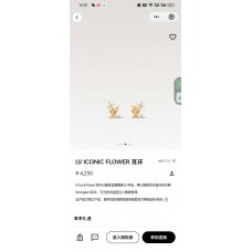 Louis Vuitton Jewelry  new 
