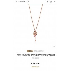 Tiffany Jewelry new 