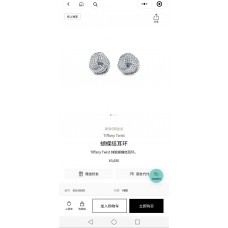Tiffany Jewelry new 