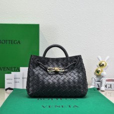 BOTTEGA VENETA Intrecciato bag  small 19*25*10.5cm