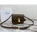 Celine Teen Box Polished Calfskin Brown Gold Hardware 18x15x6cm