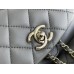 Chanel 22A Duma Backpack Gray Champagne Gold Hardware Small Size Lambskin Leather Hass Factory leather 18x18x12cm