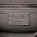 Dior Caro Calfskin, Gray, Deep Silver Hardware, Small (20x12x7cm)