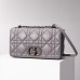 Dior Caro Calfskin, Gray, Deep Silver Hardware, Large (28x17x9cm)