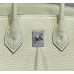 Hermes Hermès Birkin 25 Togo Bubble Green Silver Hardware Hand-Stitched